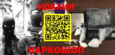 индика Камышлов