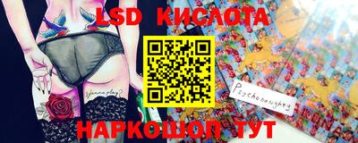 индика Камышлов