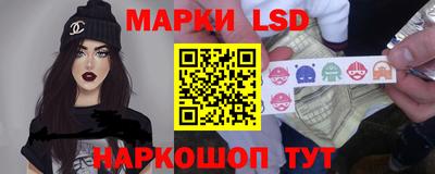 индика Камышлов