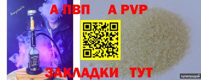 индика Камышлов