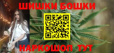 индика Камышлов