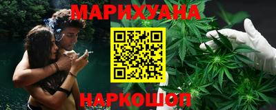 индика Камышлов