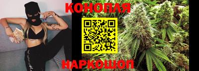 индика Камышлов