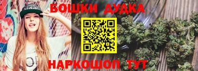 стаф Кингисепп