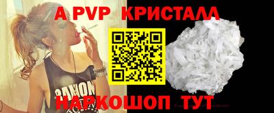 индика Камышлов