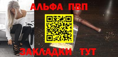 стаф Кингисепп